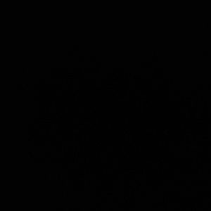 Meet your Posher, Renika